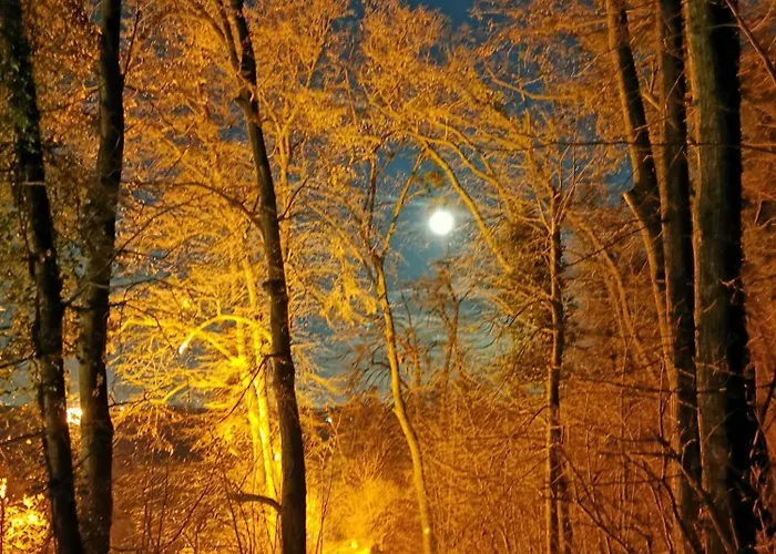 Apartamento Fruska Gora